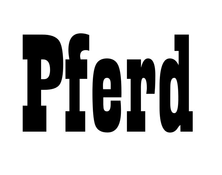 Pferd Western